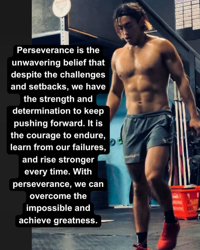 Perseverance (Poster)