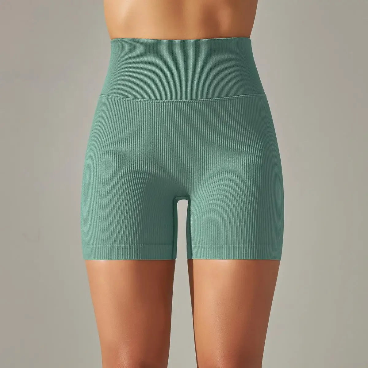 Victorious Scout Seamless Ribbed Shorts XXIIV