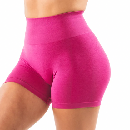 Victorious Rampage High Waist Amplify Seamless Shorts XXIIV