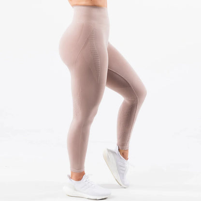 Ellie Apex Contour Leggings XXIIV