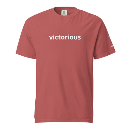 Victorious Aurora Athlete Unisex heavyweight t-shirt