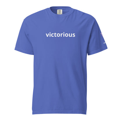 Victorious Aurora Athlete Unisex heavyweight t-shirt