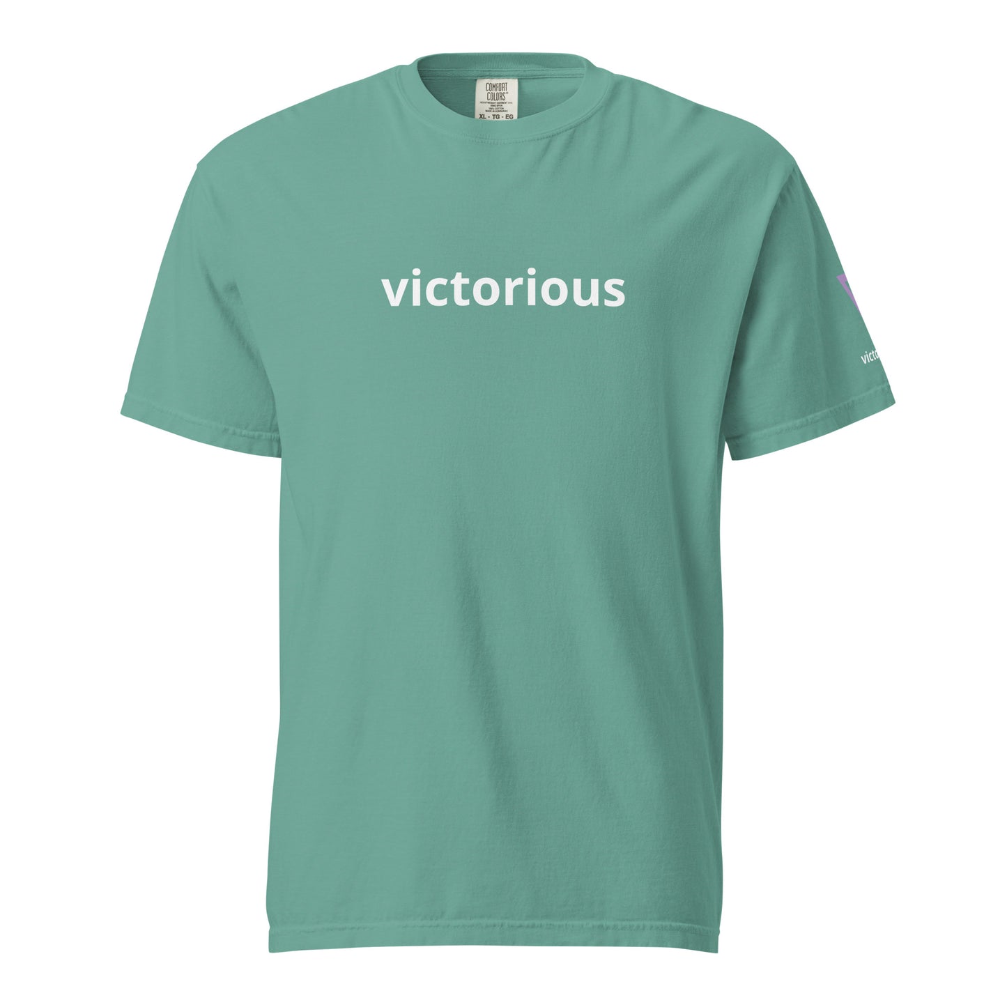 Victorious Aurora Athlete Unisex heavyweight t-shirt