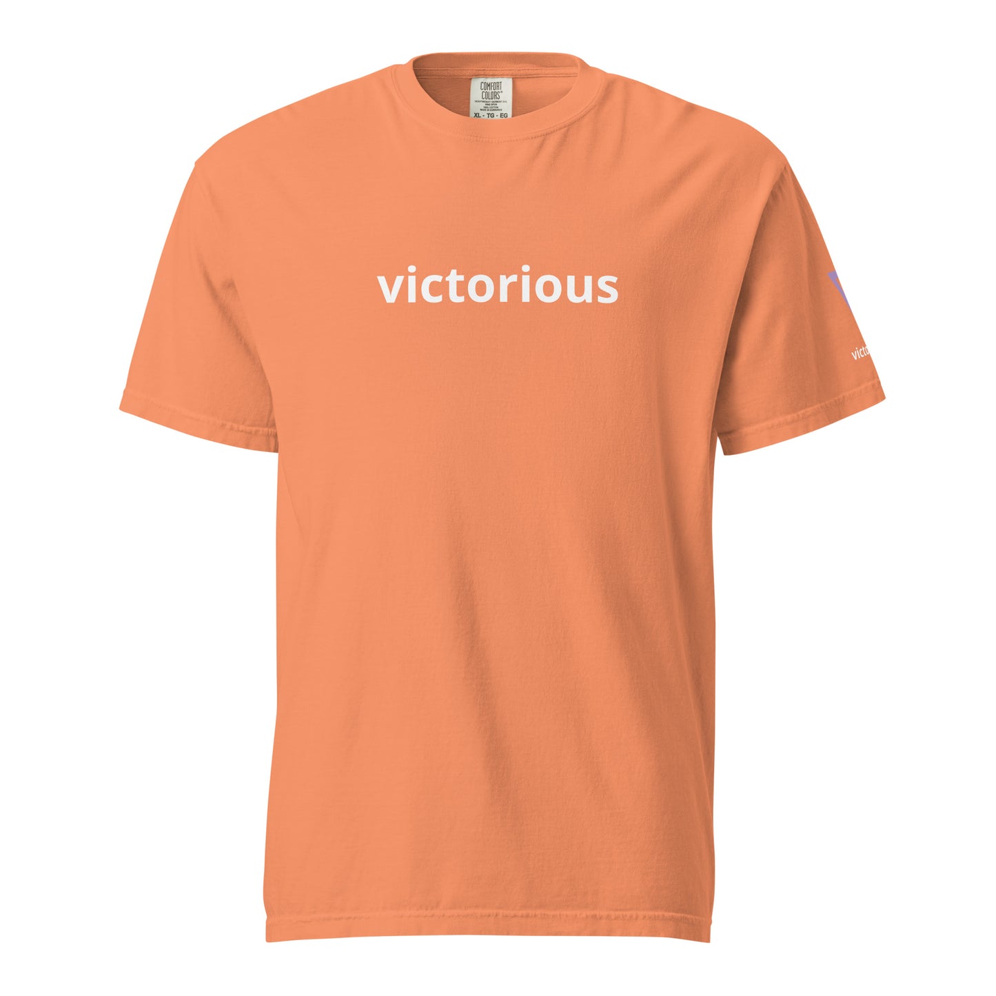 Victorious Aurora Athlete Unisex heavyweight t-shirt